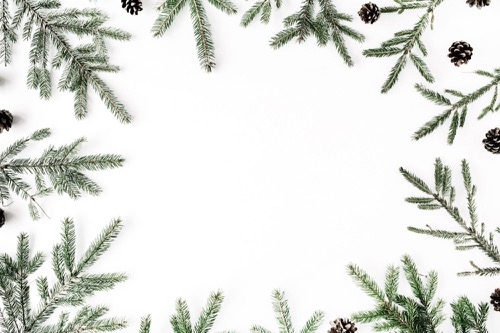 Hoe bouw je een exclusief merk op als fotograaf