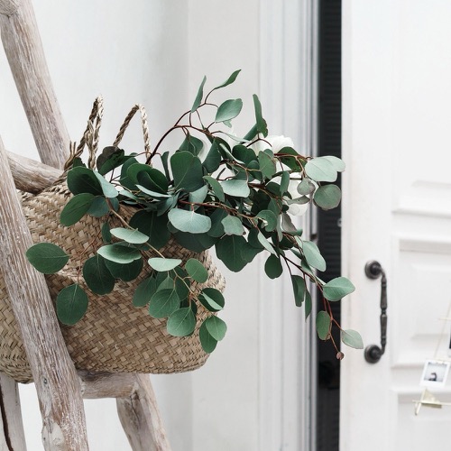 Wij zijn open voor inschrijving!